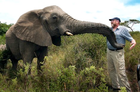 Selfie avec un éléphant